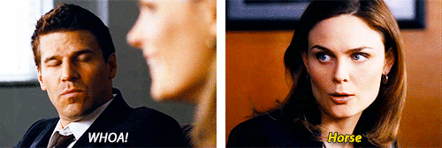 carisixrollins:  It’s quite simple. Whatever Agent Booth says, you respond with whatever word or phrase pops into your head, and vice versa. 