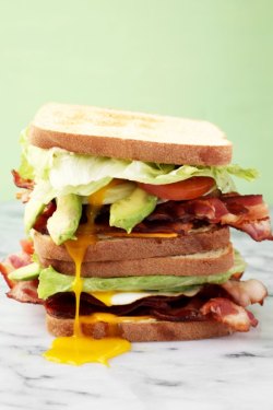 yummyinmytumbly:BREAKFAST BLTS