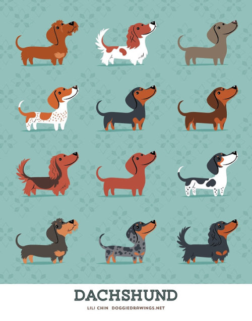 Lili Chin creates the most adorable doggie drawings. These posters and more at her Etsy page, here.