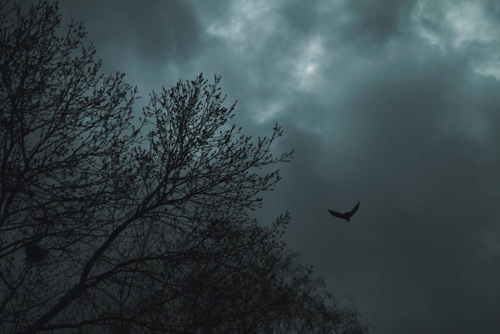 anabellabella21:  elenahelfrecht:  This is how I feel today. Taken in Minsk. FacebookWebsite