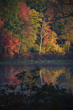 ray-sussmann:  Color Time in Harriman ©Raymond