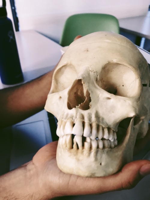 2.27.19 // An Update To Spring 2019: Forensic Anthropology Is By Far One Of My Favorite Classes Ive Taken.