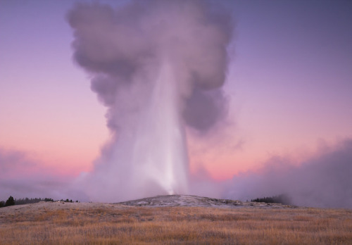 Yellowstone, Wyoming by l_c_m_tt_ Portfolio: www.lucascometto.com