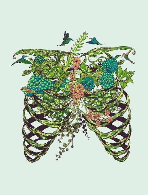 chasingthegreenfaerie:  Pinterest on We Heart It. http://weheartit.com/entry/75463449/via/frauruhig 