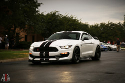 ford-mustang-generation:   	Ford Mustang GT350R. by M85 Media - Ryan Small    	Via Flickr: 	Photo taken at the 2015 Car and Driver Magazine Cars and Coffee  