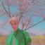 solarwoo