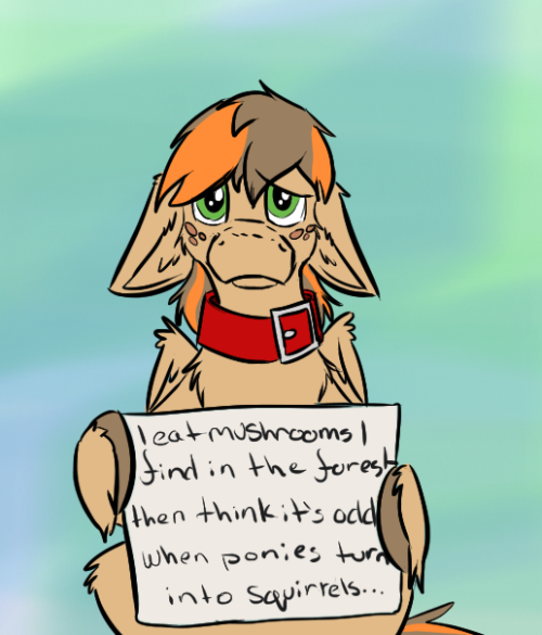 askscruffasus:  I have no words… other than Bandwagon… Spades made me do it… Also it’s spam the crap out of tumblr day… Be warned.  xD D'aww~ ;w;