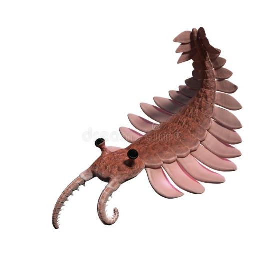 crowbugz:emperornero:emperornero:more people should have cambrian era animals as