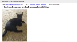 buzzfeed:   If anyone is missing a cat name