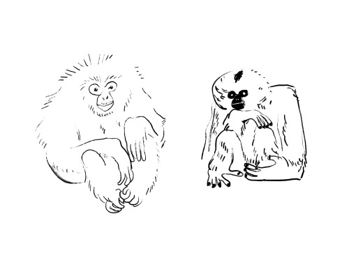 otterlogic:Some orangutans and gibbons I’ve drawn recently. Go primates! 