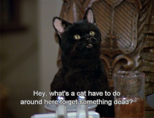 salem saberhagen