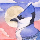 steadfastpetrel avatar