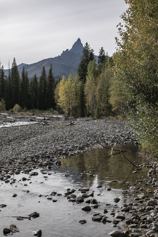 Pilot Peak reflections, Shoshone National Forest, Wyoming: (c) riverwindphotography