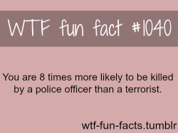 wtf-fun-facts:  MORE OF WTF-FUN-FACTS are