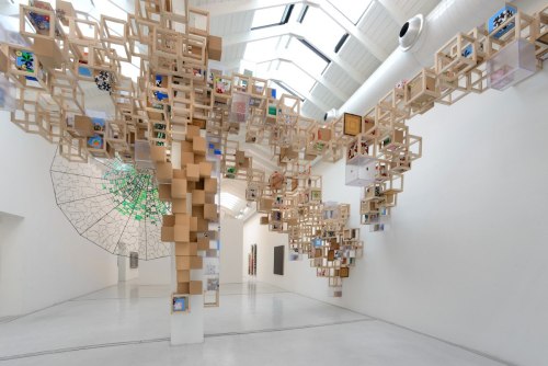 by  JACOB HASHIMOTO