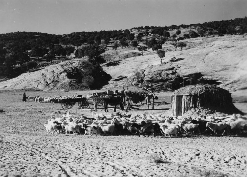 riversidearchives:
“ These poems were found in a manuscript of poems created in the Navajo and English language by Navajo students at the Phoenix Indian School around 1940. The project was entitled, Littler Herder in Autumn.
The photograph was taken...