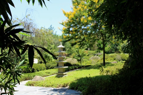 venus-garden: Jardín Japonés flickr / vscogrid  (please keep the caption)