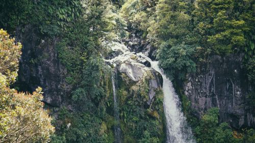 taranaki