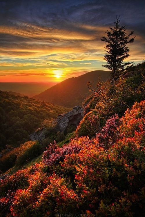 bluepueblo:  Sunset, Chaîne des Puys, France photo via polly 