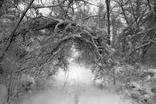 Indiana Dunes National Lakeshore Winter 2014 by Ron Reason on Flickr.