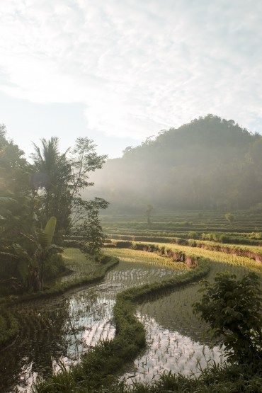 archatlas: Hideout by Jarmil Lhoták + Alena Fibichová    Hideout project started in 2014 by developing a simple bamboo structure for a small bamboo house. Set on a river bank, the house offers a spectacular view of the lush jungle forest surrounding