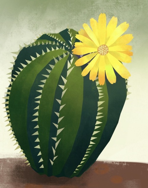 atomicocean: Back to my cacti. I did this 2D illustration to test out colours.