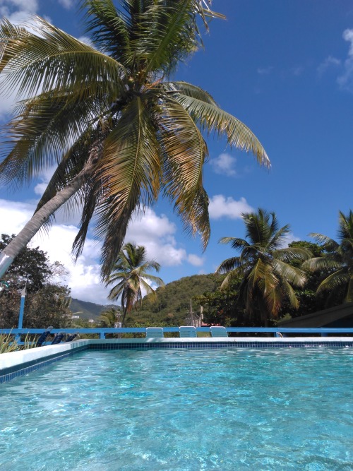 isla-bohemia:  Home sweet home  ❁❁ tropical blog, following back everyone  ❁❁