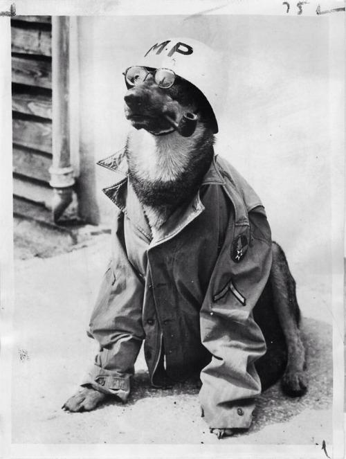 peerintothepast: Pfc. “Thorn” dressed in an MPs uniform and helmet somewhere in England 