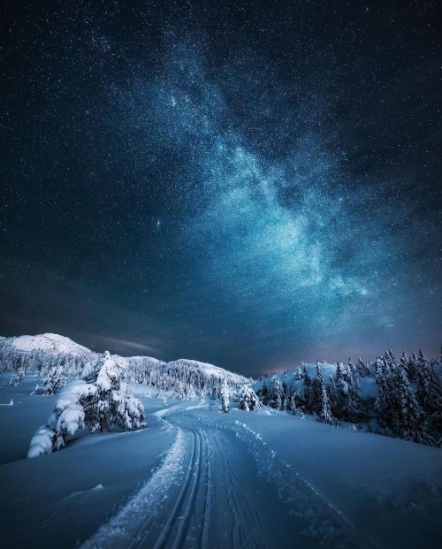 awed-frog:Night skiing in Norway (photography: @itserikson)