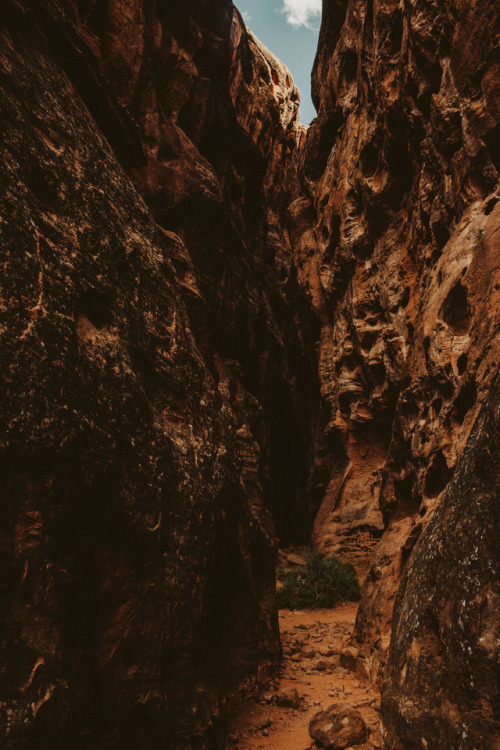 julianajohnsonphoto: Snow Canyon State Park, UtahAugust 2017