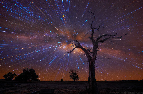 Stars Bursting In The Night SkyAustralian photographer Lincoln Harris collection ‘Star trails’, surr