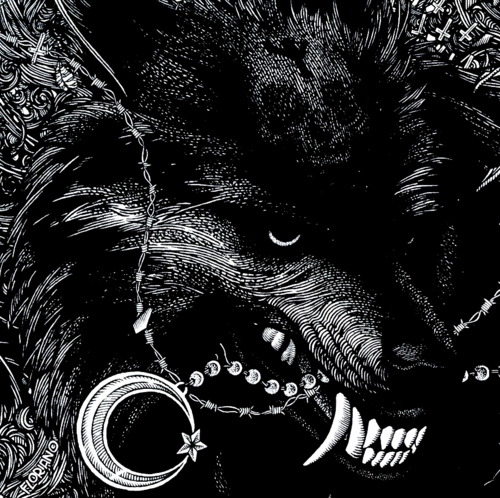 -IllusiveBeast;;
