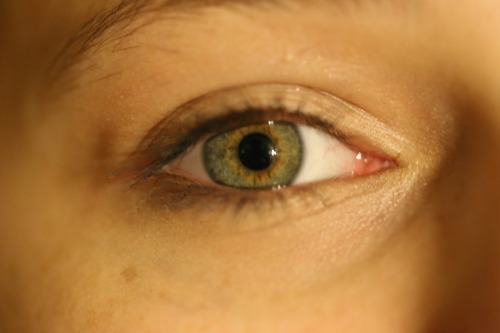 loverpng:A quick colage of everyones eye I’ve photographed. 