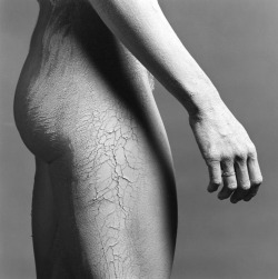 ohthentic:  themotifeye:  Robert Mapplethorpe  Oh 