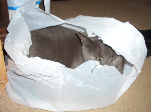 Keichan (&ldquo;Kemuri&rdquo;, Japanese for &lsquo;smoke&rsquo;) being a bagmonster.