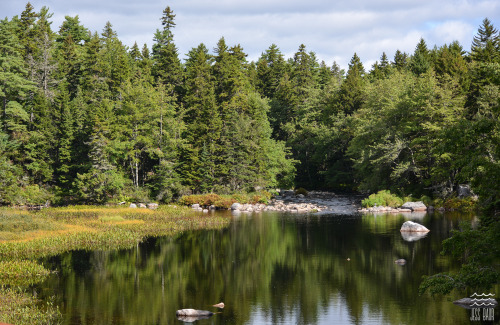 Hiking Castle Rock - Chester, Nova Scotia.