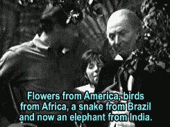 cleowho:“That is an Indian elephant.”The Ark - season 03 - 1966