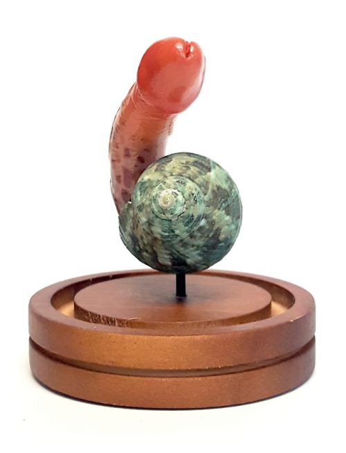 Bottom FeederPenis snail made from sculpey, shell and acrylics.