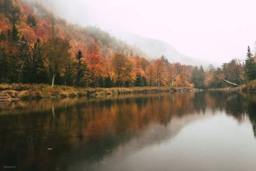 Maybe it is just a dream, an illusion of reality.Adirondack Mountains - X/MMXVII