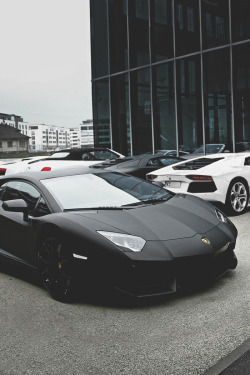 mistergoodlife:  Black & White • Mr.