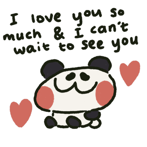 I Made A Sticker Pack For My Partner And I To Use On WhatsApp (they Love Pandas)
