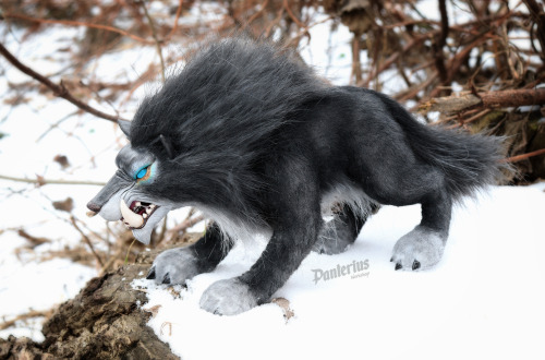 Warsong Wolf. Toy for patron. Length: 30 cm (11,8 inch)Width: 10 cm (3,9 inch)High:  