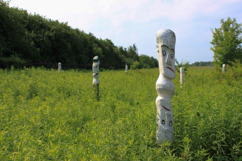 Totems at Meadowbrook Park.