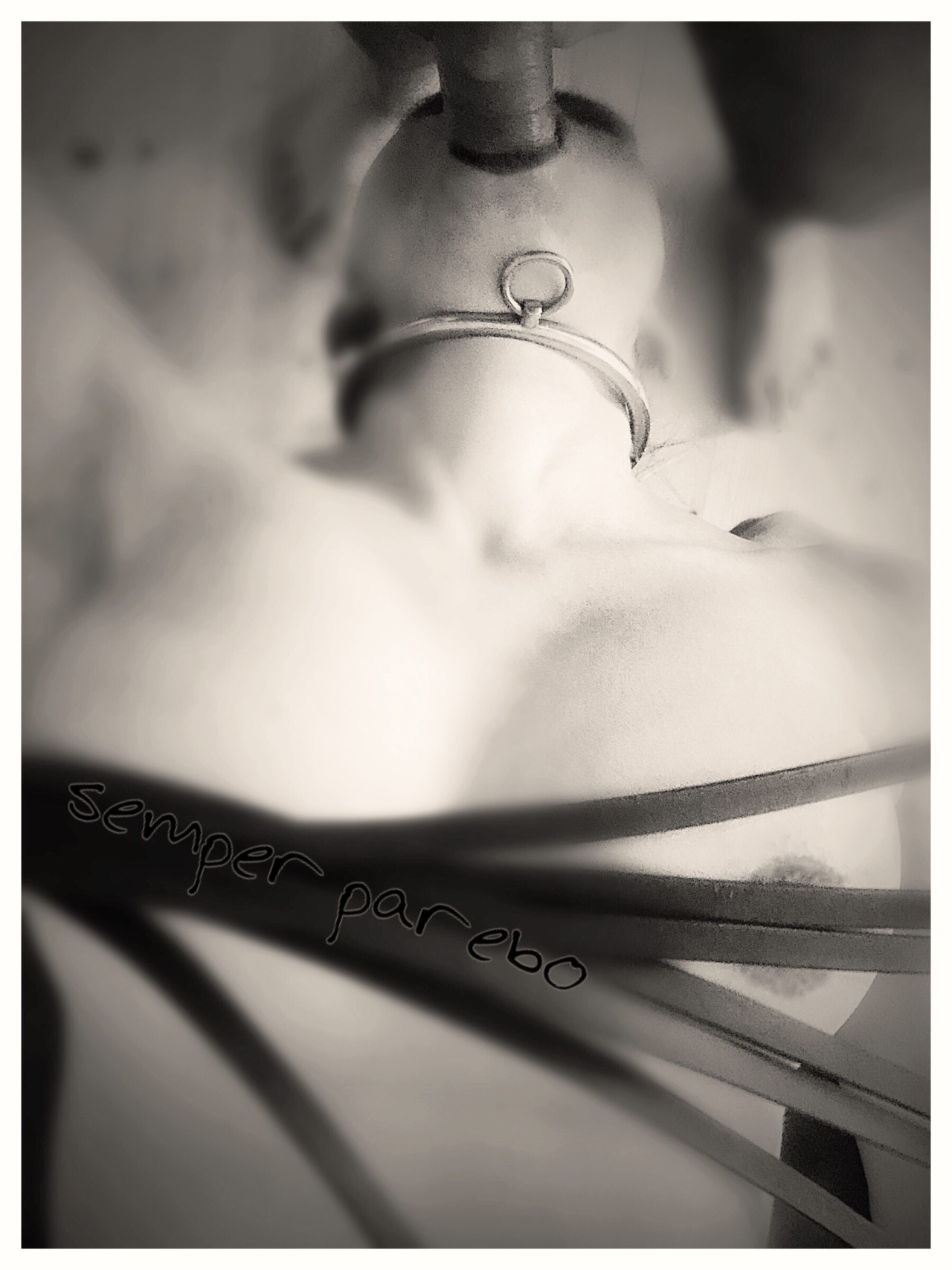 hornydeniedgirl: A whip on her tits and a cock in her mouth.     What Sundays are