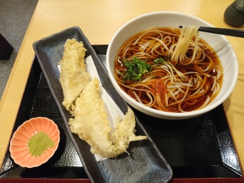 udonangya:熱田区波寄町の大地で、ひやしかけ細うどん950、穴子の天ぷら750、〆て1,700円也。Cold soup udon noodles and See eel tempura at 
