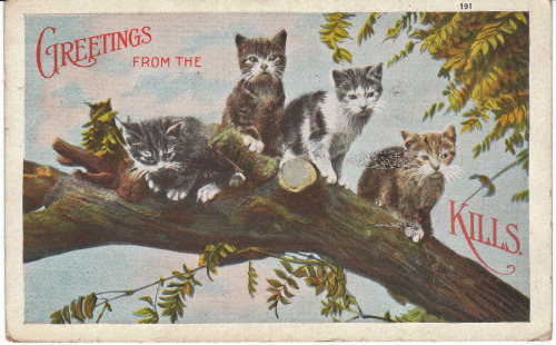 postcardtimemachine: Greetings from the Catskills.