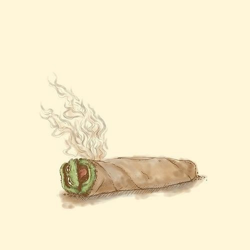the-kids-want-narcotics:  Click to follow a dope stoner blog! ☮