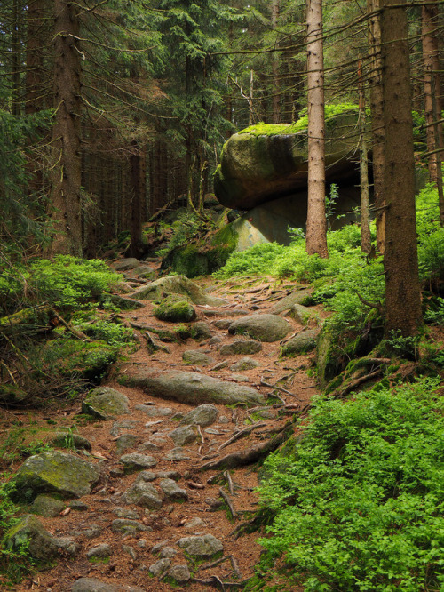 perle-glaciaire: 90377:  Fichtelgebirge by Benni128  ah i went hiking here!!