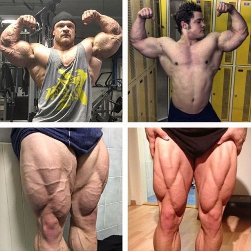 deadlifts-and-derrida: gentlemenprefermuscle: porn pictures