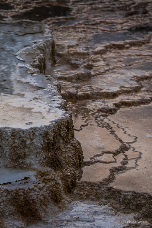 Travertine Terraces at sunset, Mammoth Hot Springs, Yellowstone National Park: © riverwindphoto